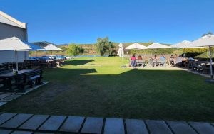 Karusa Wines Hot Day