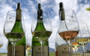 Rijk's Wine Estate Wine Selection