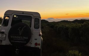 Vondeling Wines Historic