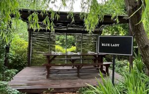 Warwick Wine Estate Picnics