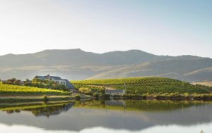 Creation Wines Romantic Views Accommodation Arty Creation Wines Romantic Views