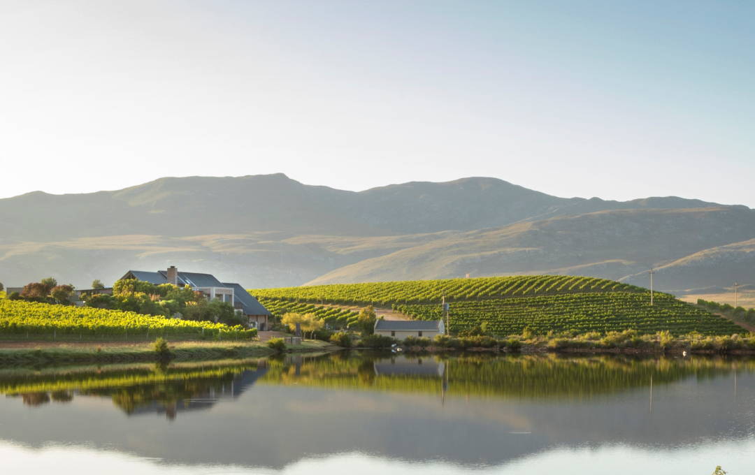 Creation Wines Romantic Views