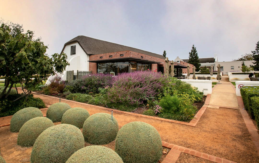 Groot Phesantekraal Wine Estate
