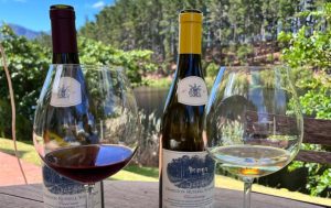 Hamilton Russell Chardonnay & Pinot Noir with Dam Views Hamilton Russell Chardonnay & Pinot Noir