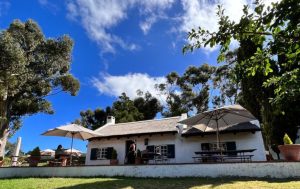 Hamilton Russell Historic Boutique surrounded by trees