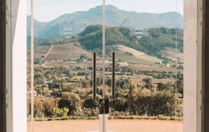 Haute Cabriere Vineyard