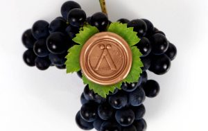 Lozarn Wines grapes