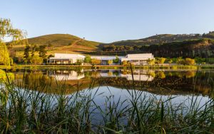 Morgenster Estate