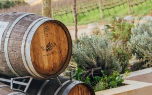 Raka Wines winelands