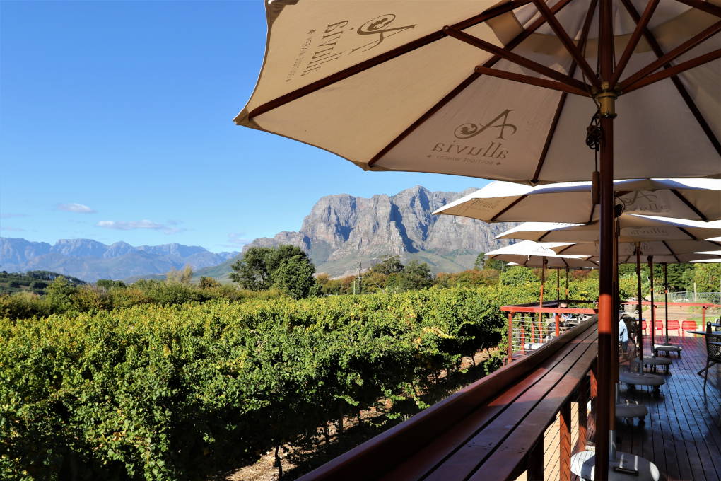 Alluvia Boutique Winery Restaurant