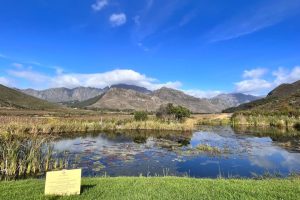 Glenwood Vineyards Hiking