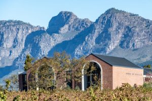Bacco Wine Estate Boutique