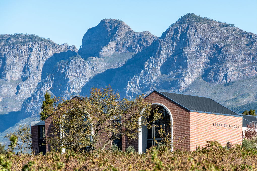 Bacco Wine Estate Boutique