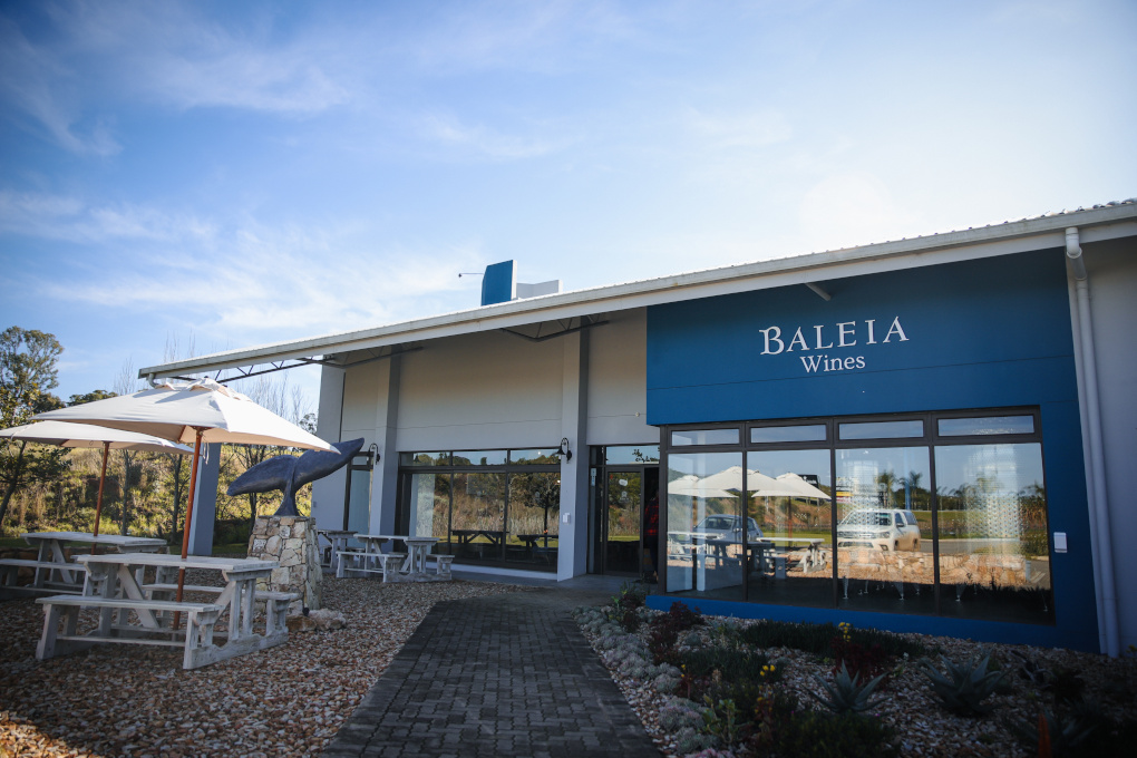 Baleia Modern