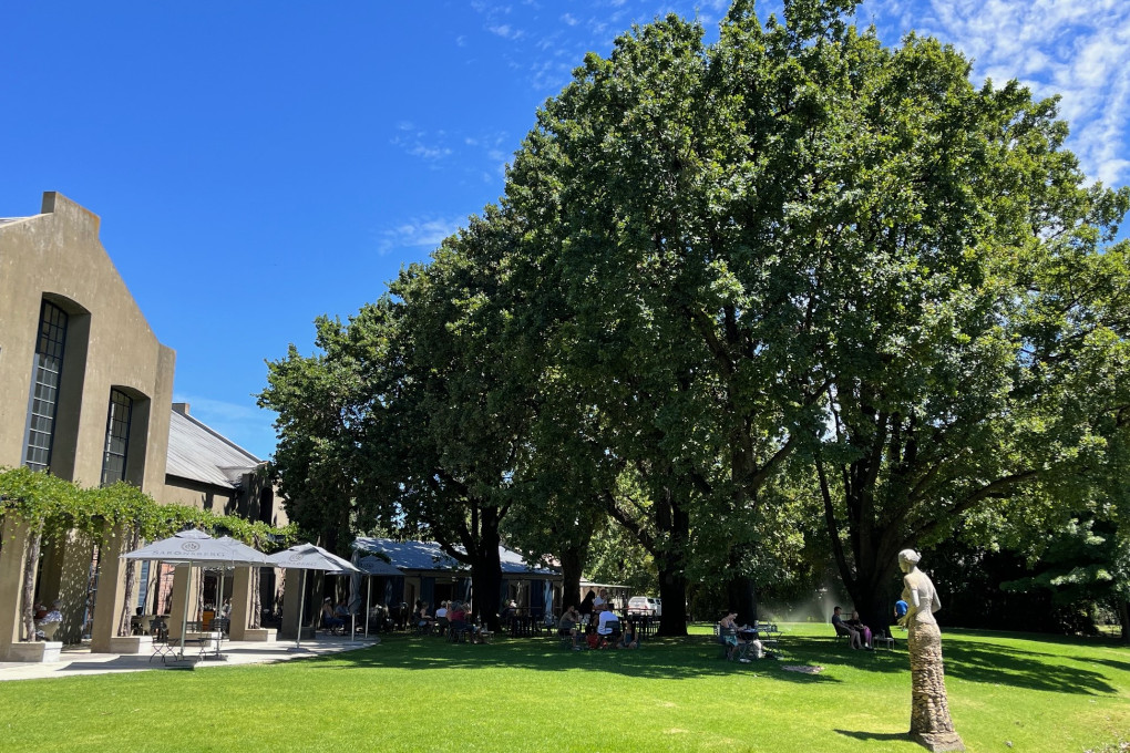 Saronsberg Cellars Arty