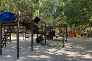 Bloemendal Wine Estate Child Friendly Restaurant Accommodation Bloemendal Wine Estate Child Friendly