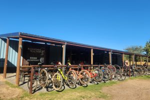 Bloemendal Wine Estate Biking Hiking Trails Bloemendal Wine Estate Biking