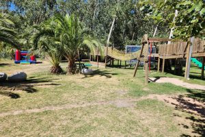 D'Aria Winery Child Friendly Jungle Gym Biking Trails Running Hiking D'Aria Winery Child Friendly