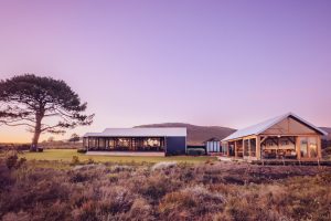 Bosman Hermanus Romantic Romantic Trail Running Bosman Hermanus Romantic