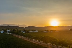 De Wetshof Chardonnay