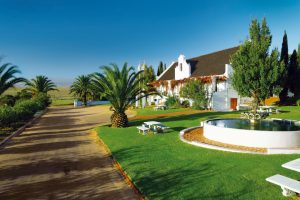 Swartland Winery Child Friendly