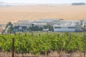 Swartland Winery Cold Winter's Day