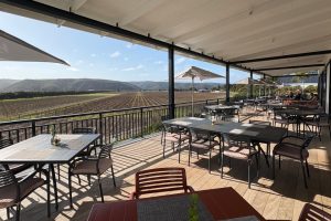 Bitou Vineyards Hot Day Boutique Modern Bitou Vineyards Hot Day