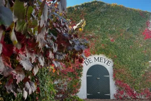 De Meye Wines Cellar